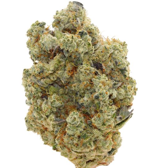 SUNSET FANTA <br> (SMALL BUDS) <br> (AAAA Sativa)