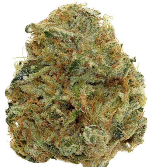 HAWAIIAN THUNDER <br> (SMALL BUDS) <br> (AAAA Sativa)