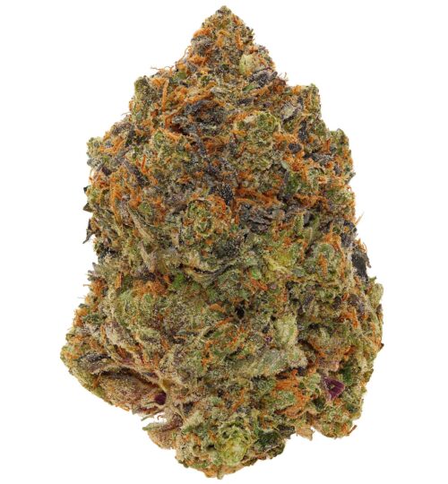 WEST COAST PINK <br> (SMALL BUDS) <br>(AAAA Indica)