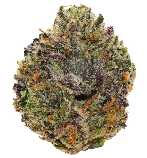 PASS OUT PINK <br> (MICRO BUDS) <br> (AAAA Indica)