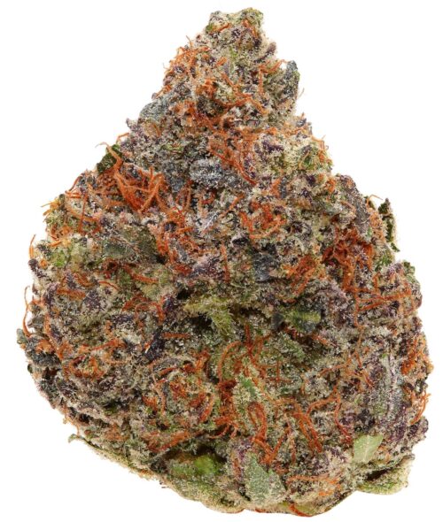 PINK GHOST SHIP <br> (AAAAA- Indica)