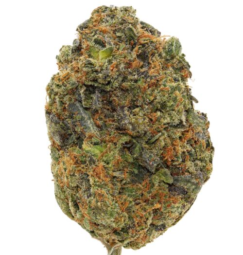 PINK TAR <br> (SMALL BUDS) <br> (AAAA Indica)