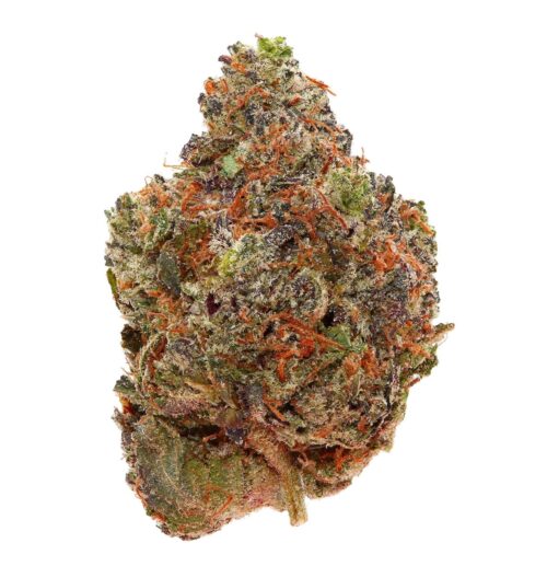 ULTRA PINK <br> (MICRO BUDS) <br> (AAAA Indica)