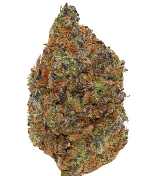 WALT'S <br> TROPIC THUNDER <br> (AAAAA Hybrid)