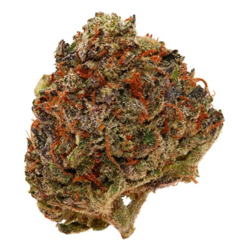 PINK GOO <br> (MICRO BUDS) <br> (AAAA Indica)
