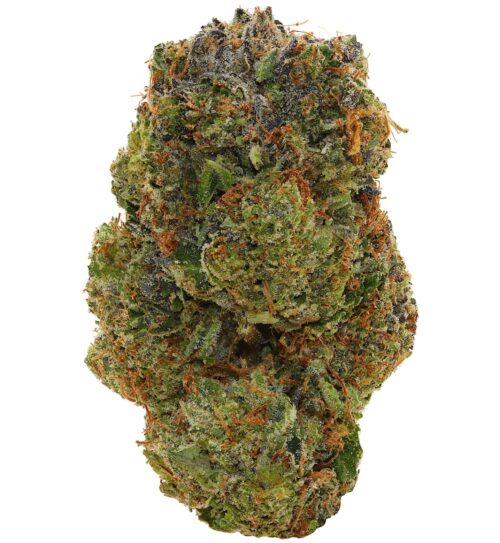 WALT'S <br> LIZARD PINK <br> (AAAAA Indica)