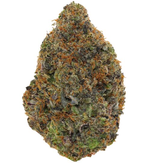 ULTRA PINK <br> (AAAAA Indica)