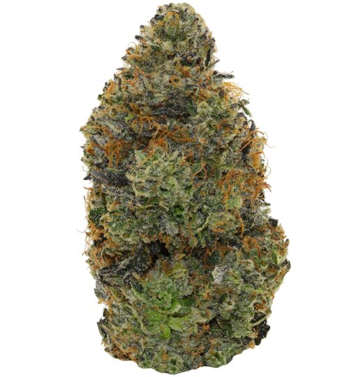 BUBBA KINGS <br> (AAAAA Indica)