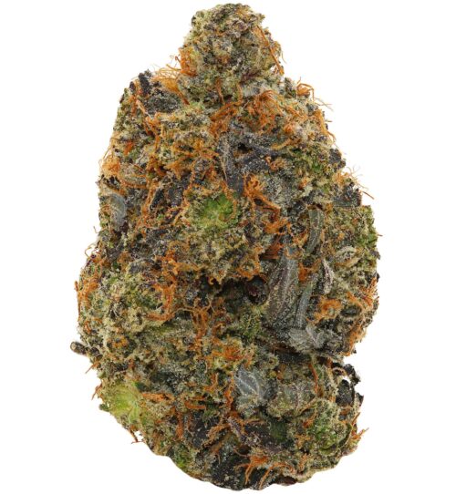 WALT'S <br> TOM FORD <br> (AAAAA+ Indica)
