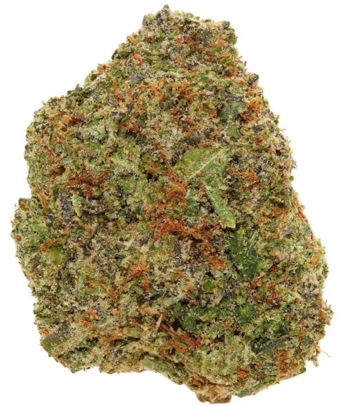 PLATINUM PINK <br> (SMALL BUDS) <br> (AAAA Indica)