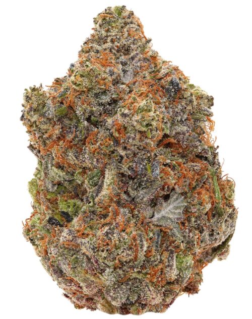 WALT'S <br> DEATH VALLEY PINK <br> (AAAAA+ Indica)