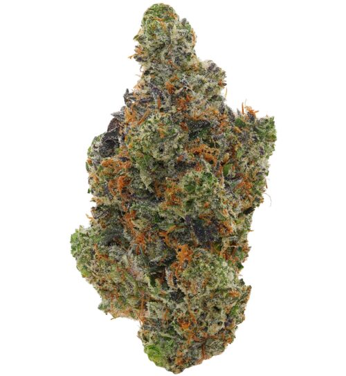 12 WEEK <br> ROCKSTAR <br> (AAAAA Indica)