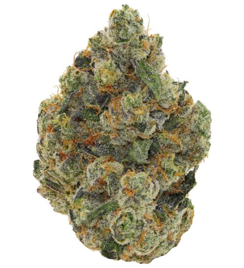 WALT'S <br> DEATH CAKE <br> (AAAAA Hybrid)