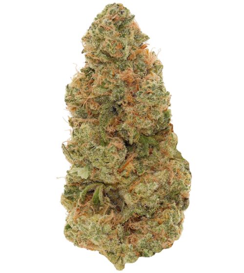 WALT'S <br> TROPICAL JUICE <br> (AAAAA Sativa)
