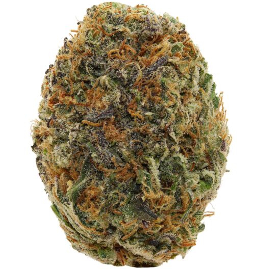 BLUE MAFIA <br> (SMALL BUDS) <br> (AAAA Hybrid)