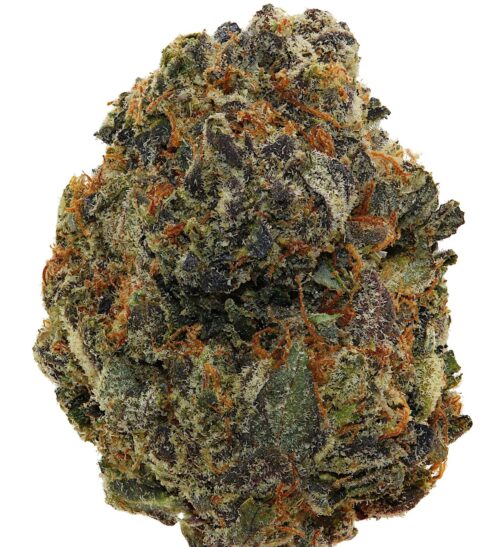 PINK ROCKSTAR <br> (Small Buds) <br> (AAAA Indica)