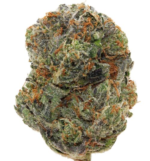 CANDY RUNTZ <br> (SMALL BUDS) <br> (AAAA Hybrid)