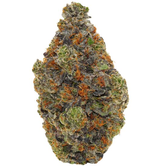 PINK ROCKSTAR <br> (AAAAA Indica)