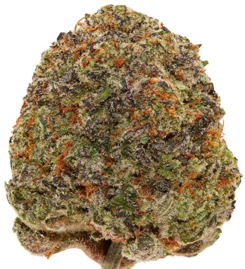 WEST COAST PINK <br> (SMALL BUDS) <br> (AAAA Indica)