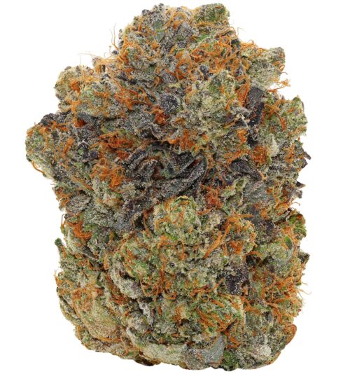 WALT'S <br>PINK GRAIL<br> (AAAAA+ Indica)