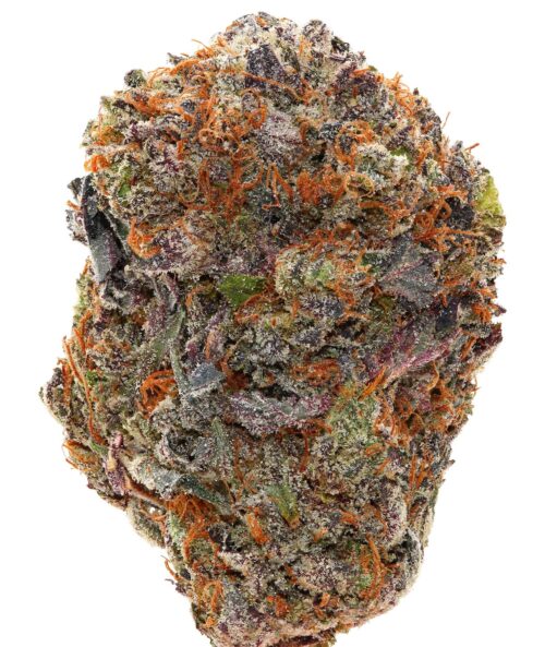 WALT'S <br>PINK ZILLA<br> (AAAAA+ Indica)