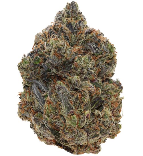 WALT'S <br> PINK PATRON <br> (AAAAA Indica)