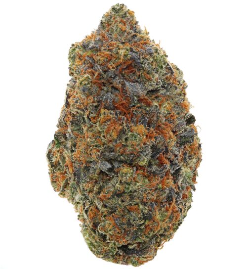 BUBBA KINGS <br> (AAAAA Indica)
