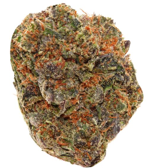 ULTRA PINK <br> (MICRO BUDS) <br> (AAAA Indica)