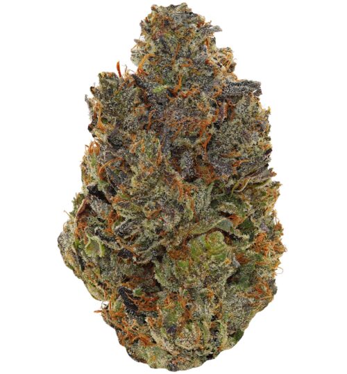 GREASY PINK <br> (AAAAA Indica)
