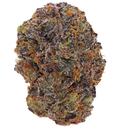 WALT'S <br>PAGANI PINK<br> (AAAAA+ Indica)