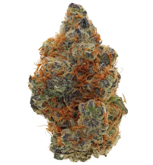 GG #4 <br> (SMALL BUDS) <br> (AAAA Hybrid)