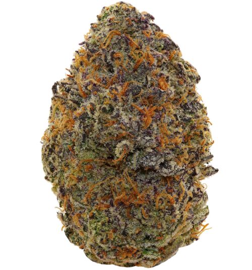 NIGHT TERROR RUNTZ <br> (SMALL BUDS) <br> (AAAA Hybrid)