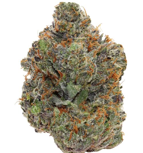 PINK DEATH <br> (AAAAA Indica)