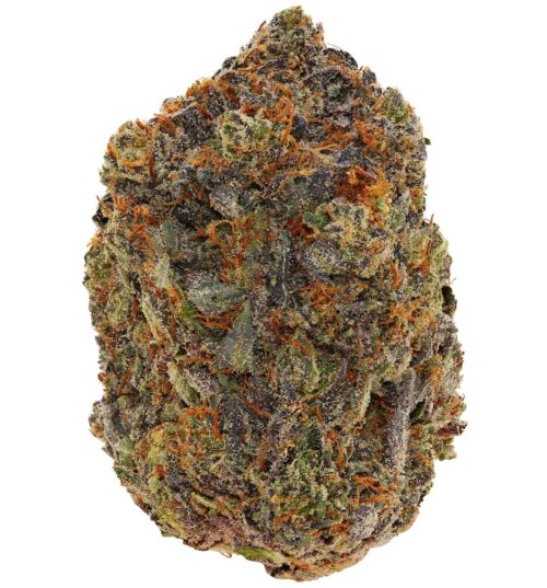 WEST COAST PINK <br> (AAAAA Indica)