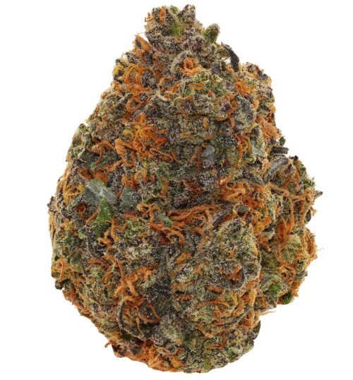 WALT'S <br> GHOSTKEEPER <br> (AAAAA Hybrid)