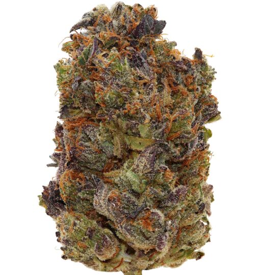 BLUE FIN TUNA <br> (AAAA- Indica)
