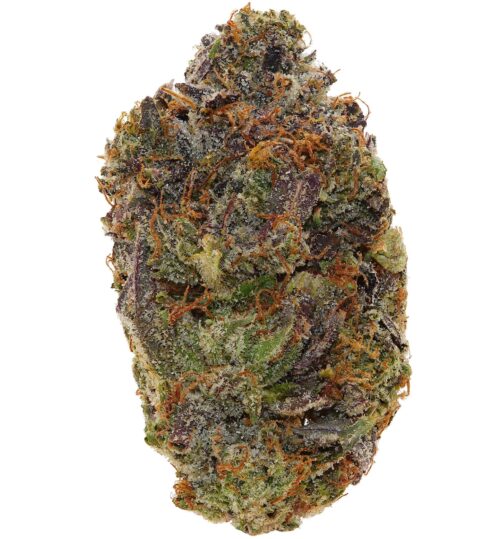 WALT'S <br> MONEYMAN PINK<br> (AAAAA+ Indica)