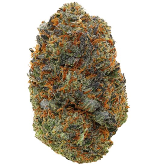 COTTON CANDY PINK <br> (AAAAA Indica)