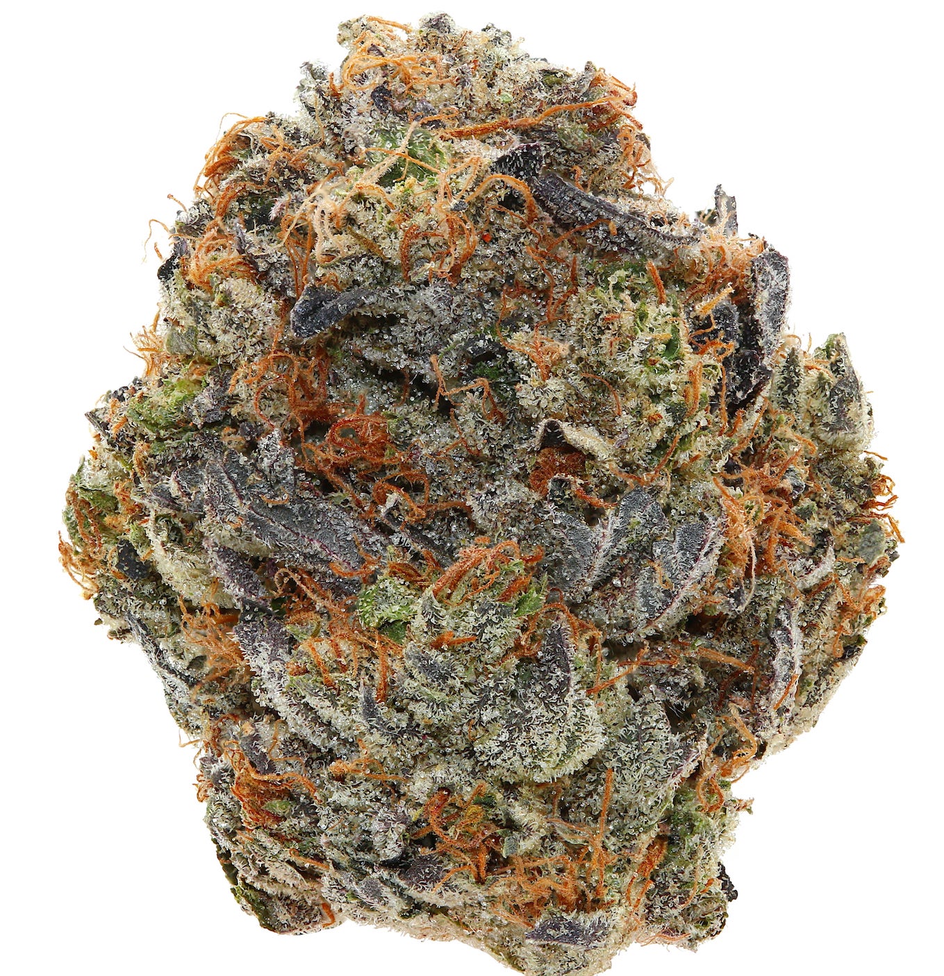 PINK GOD <br> (SMALL BUDS) <br> (AAAA Indica)