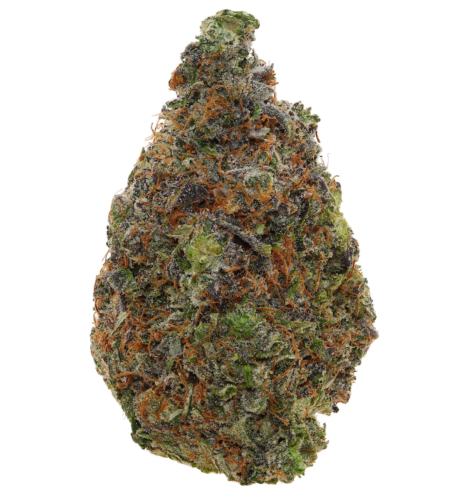 PINK ASTRO <br> (AAAAA Indica)