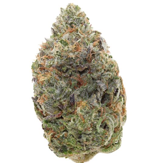 BLUE DEATH <br> (SMALL BUDS) <br> (AAAA Hybrid)