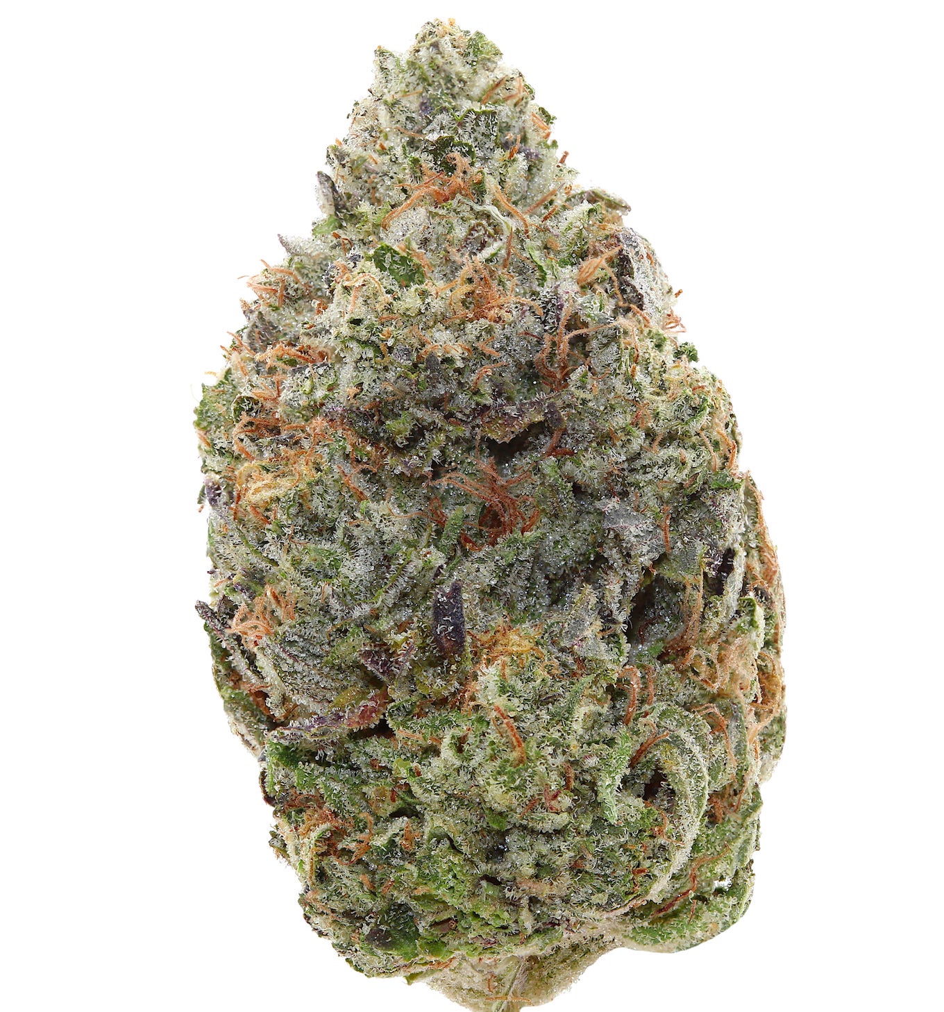 BLUE DEATH <br> (SMALL BUDS) <br> (AAAA Hybrid)