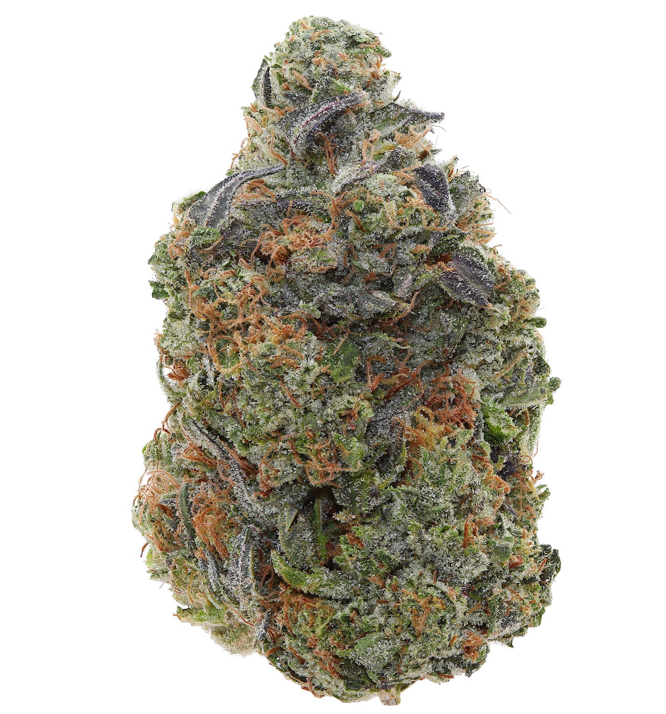 PINK ASTRO <br> (SMALL BUDS) <br> (AAAA Indica)