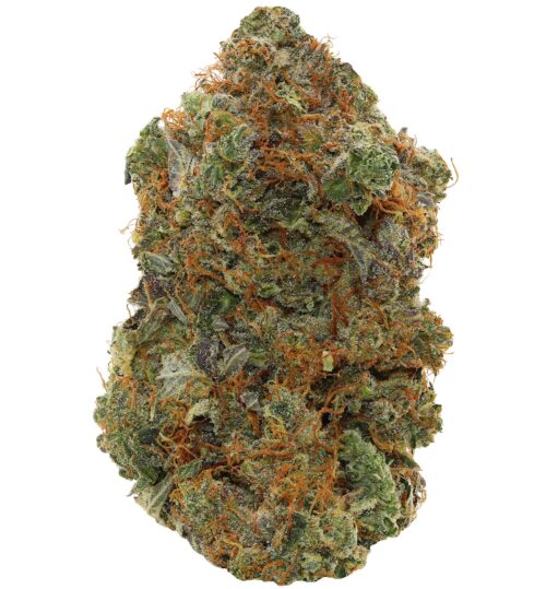 WALT'S <br> PINK KRAKEN<br> (AAAAA+ Indica)