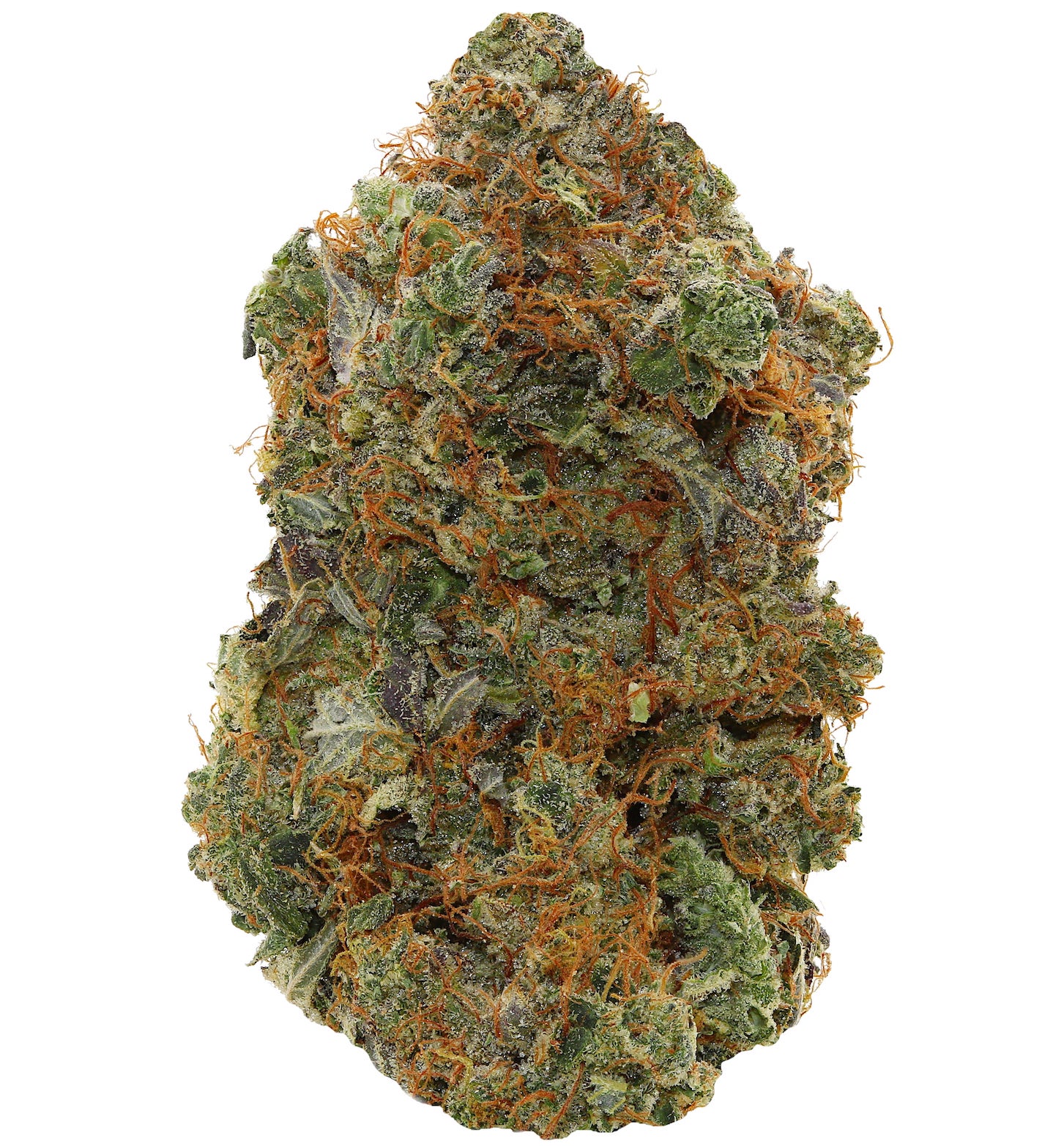 WALT'S <br> PINK KRAKEN<br> (AAAAA+ Indica)