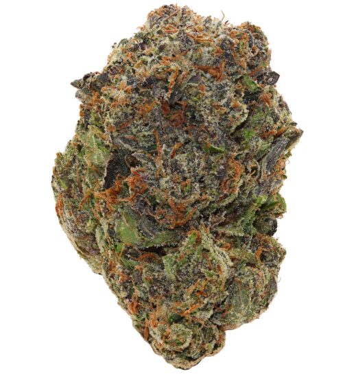 PINK GOD <br> (AAAAA Indica)