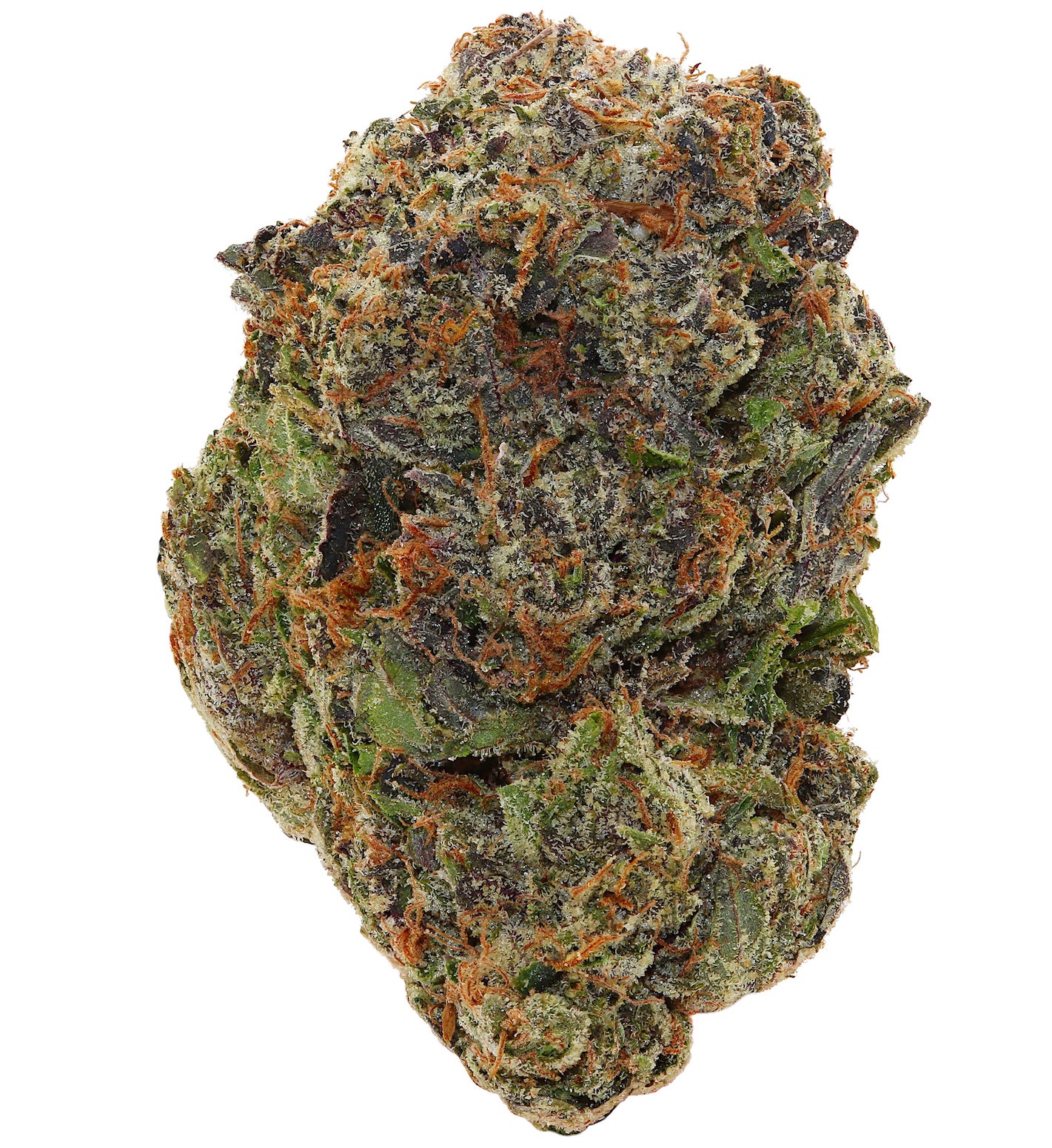 PINK GOD <br> (AAAAA Indica)