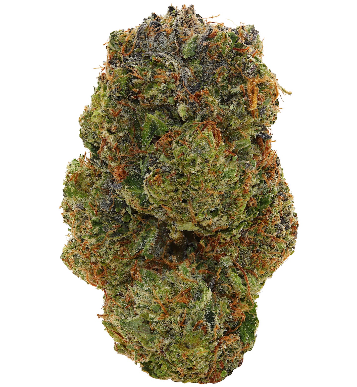 12-WEEK TUNA <br> (AAAAA Indica)