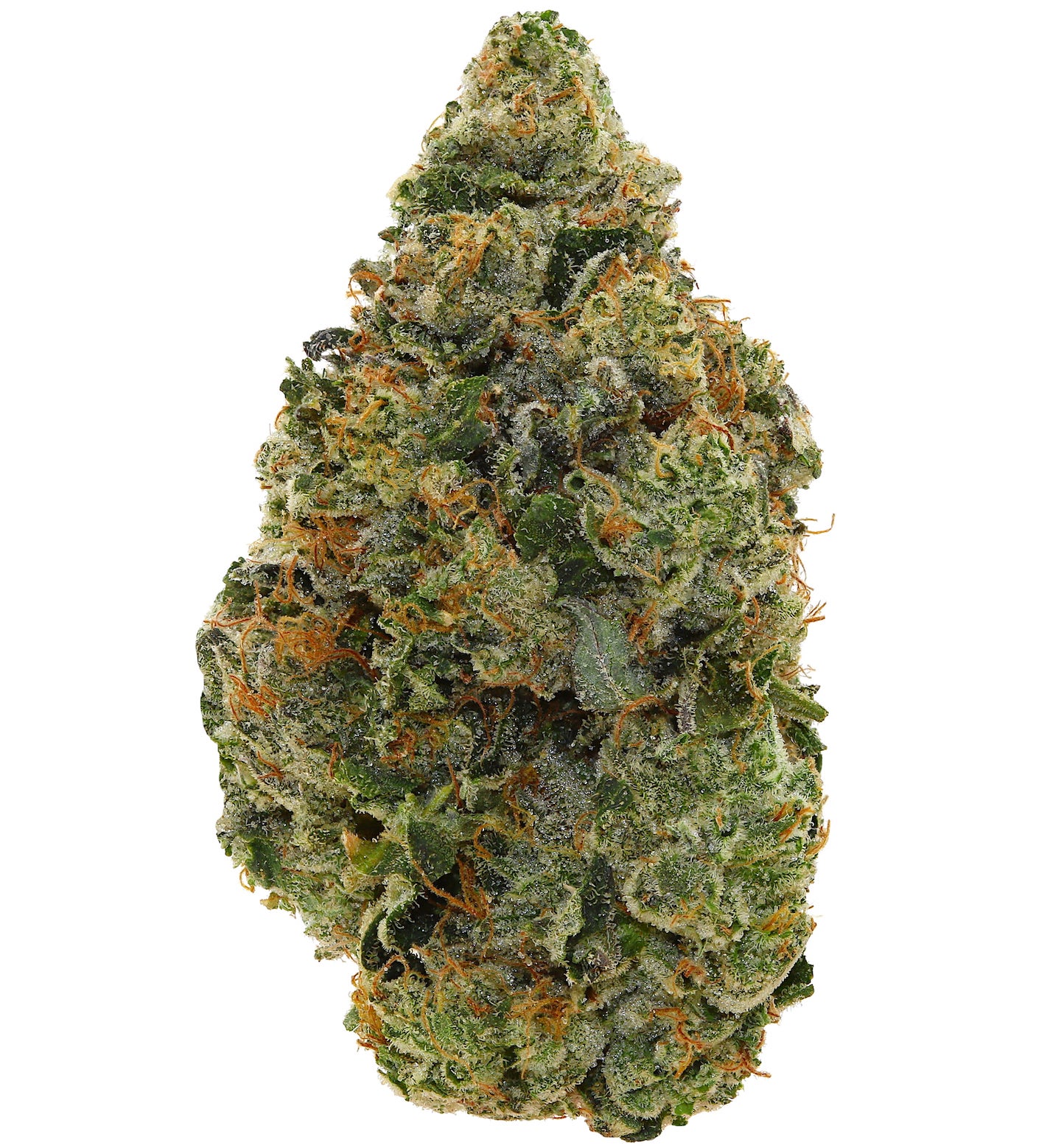 PINK TAR<br> (AAAAA Indica)