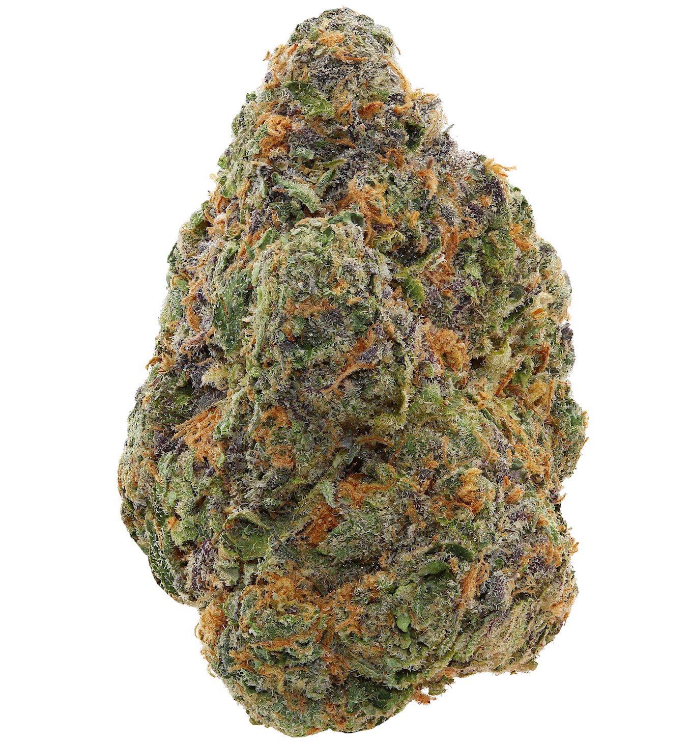 CITRUS TWIST <br> (SMALL BUDS) <br> (AAAA Sativa)